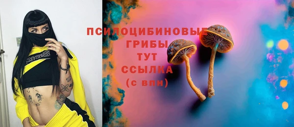 не бодяженный Абаза