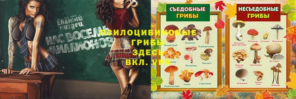 не бодяженный Абаза