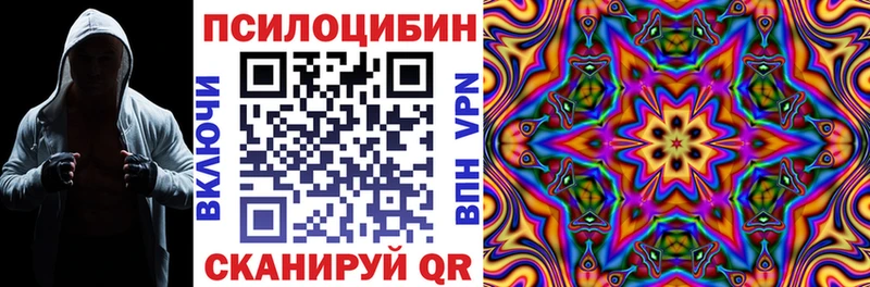 гидра как зайти  Никольское  Галлюциногенные грибы Psilocybine cubensis 